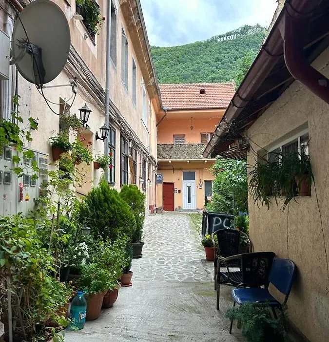 Guest House Rusu-1